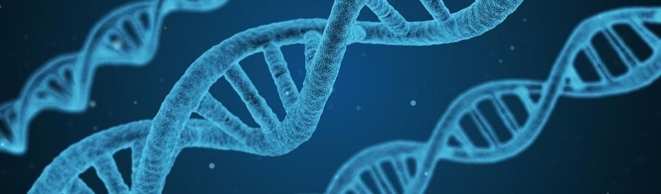 dna-1811955_960_720-min636316494001074974